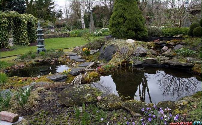 Le jardin botanique aquatique d'Ada Hoffman