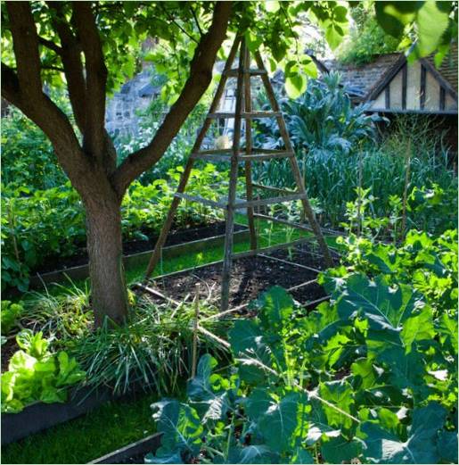 Aménagement d'un jardin de campagne