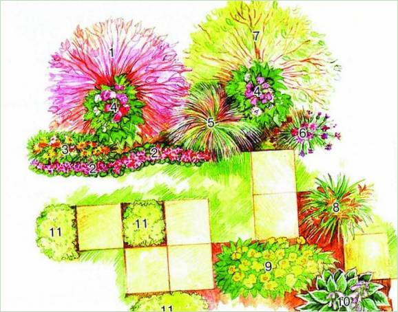 Schéma des fleurs