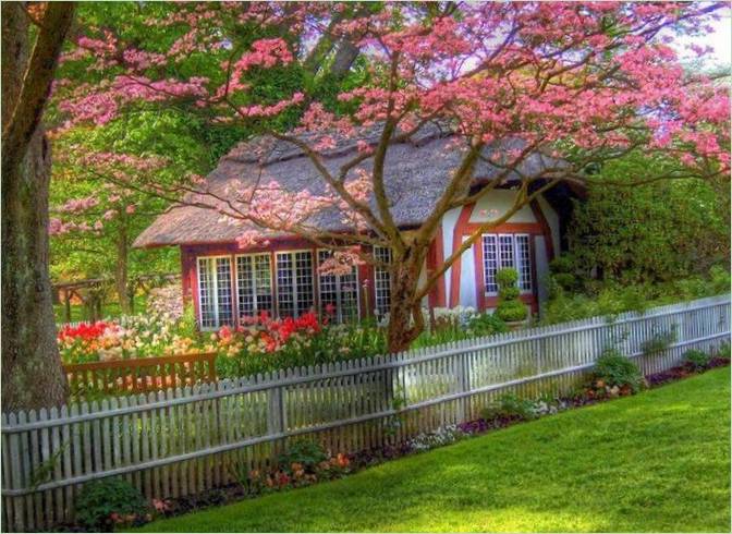 Conception de jardin rustique anglais