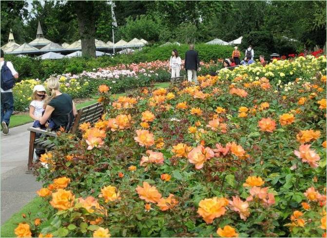 Aménagement paysager de Regents Park, Londres