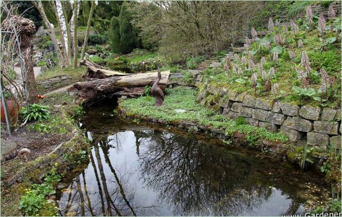 Le jardin botanique aquatique Ada Hoffman