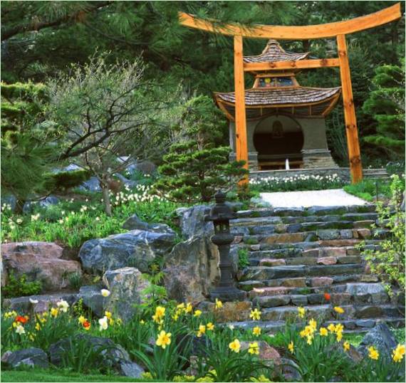 Aménagement paysager d'un jardin japonais
