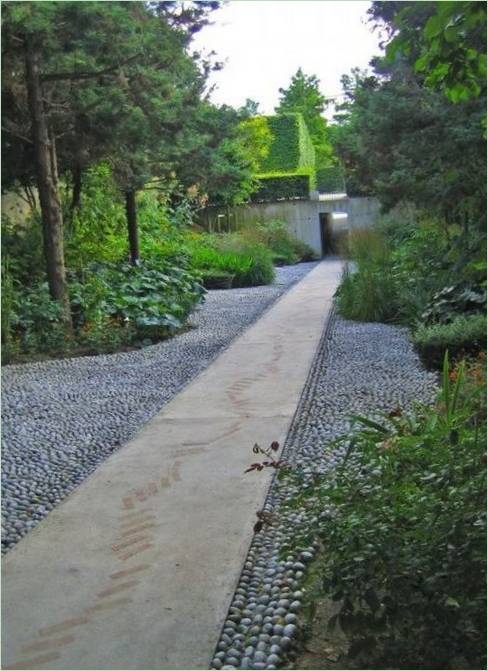 Chemin en béton entouré de bois recyclé