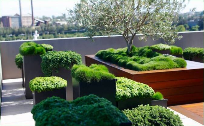 Parterres de fleurs avec des plantes dans le jardin