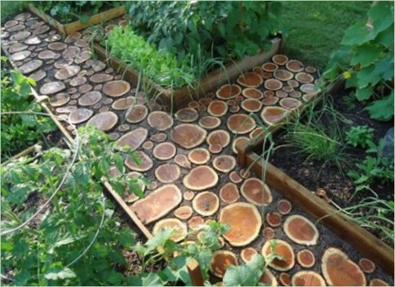 Un chemin en bois dans le jardin