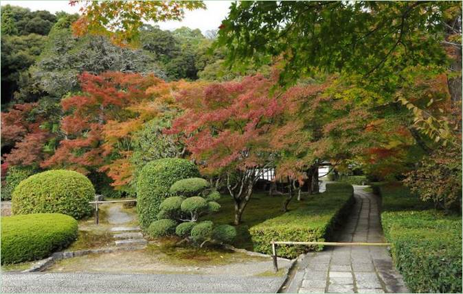 Le jardin des mousses de Saiho-ji à Kyoto