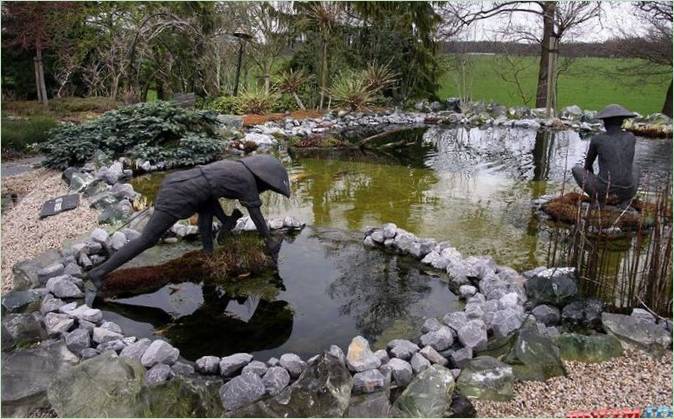 Le jardin botanique aquatique Ada Hoffman