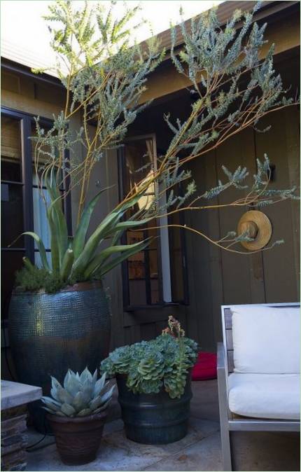 Beaucoup de plantes en pot dans une maison de style californien