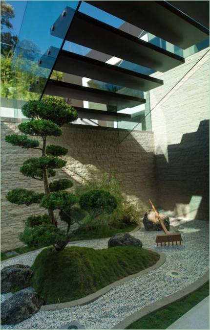 Faire pousser un arbre dans le jardin à la maison