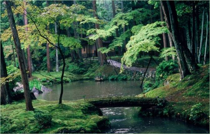 Le jardin des mousses de Saiho-ji à Kyoto