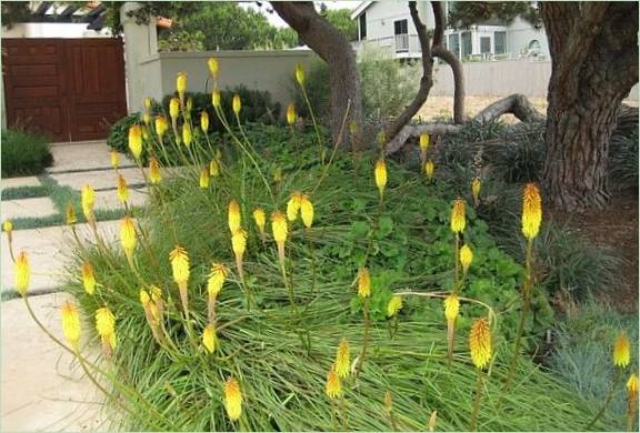 Idées de jardins fleuris d'un célèbre designer