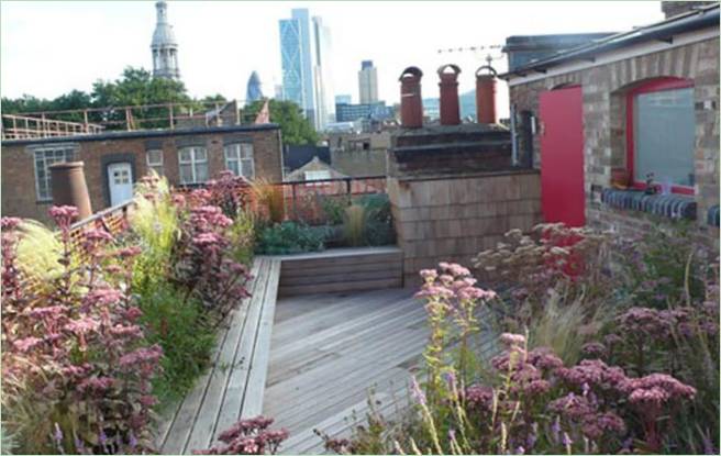 Jardinage sur le toit d'une maison privée