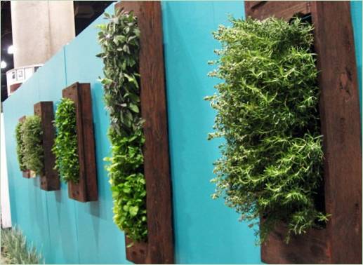 Idées intéressantes de jardinage vertical : des herbes cultivées dans plusieurs cadres individuels