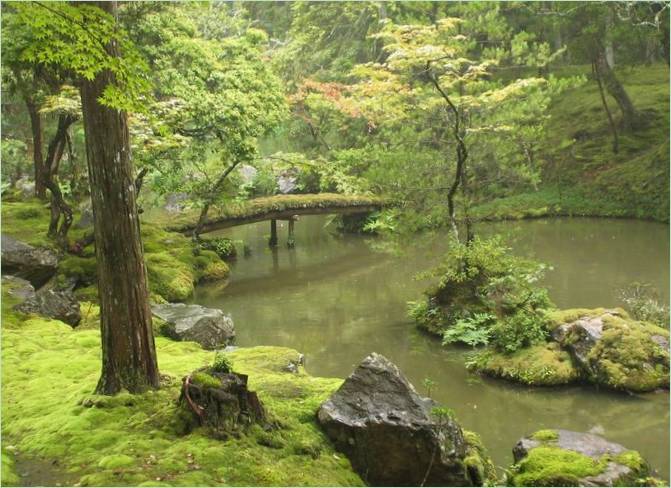 Le jardin des mousses au Saiho-ji à Kyoto