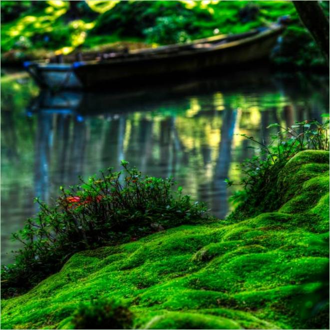 Le jardin des mousses de Saiho-ji à Kyoto