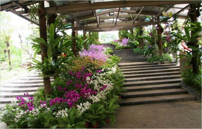 Jardin des orchidées de Kuala Lumpur
