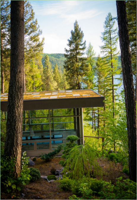 Le bord ouest du pavillon