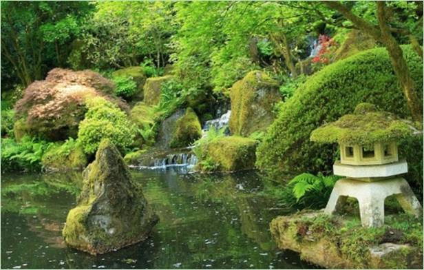 Aménagement d'un jardin japonais