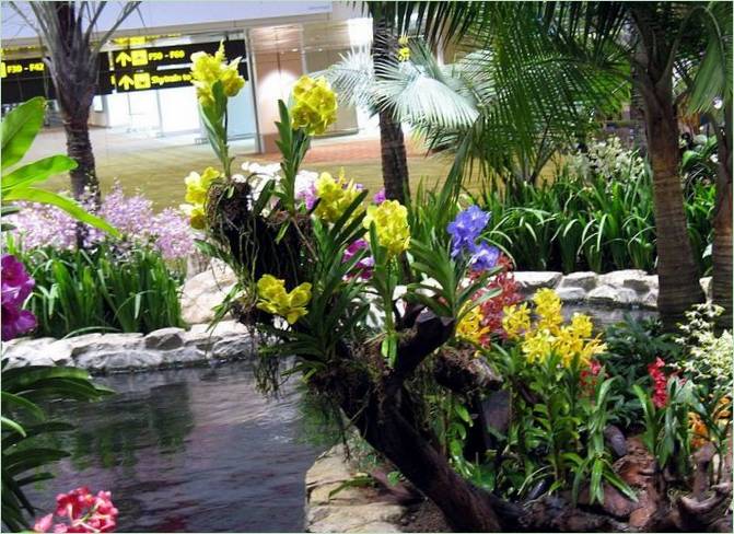 Jardin des orchidées à Kuala Lumpur