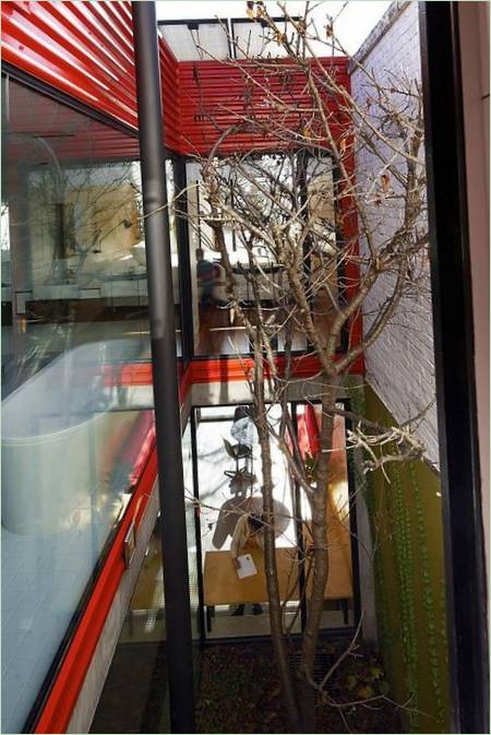 Un arbre vivant dans une maison