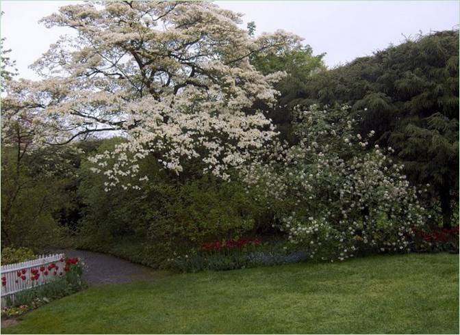 Aménagement de jardin rustique