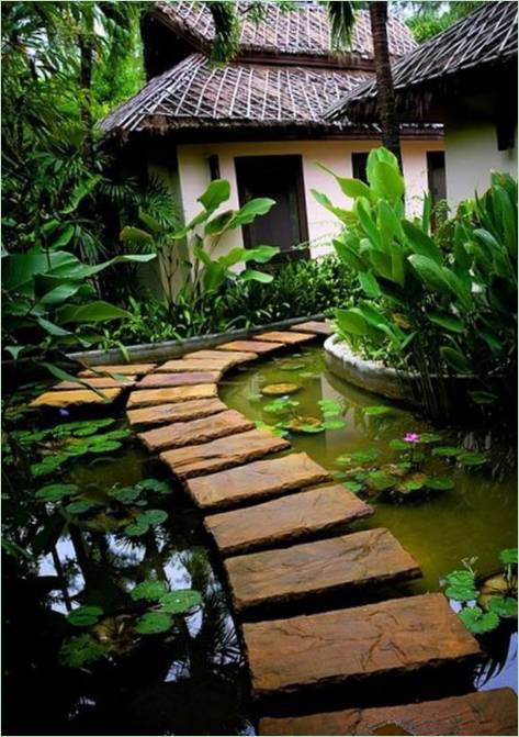 Un chemin sinueux entouré d'eau