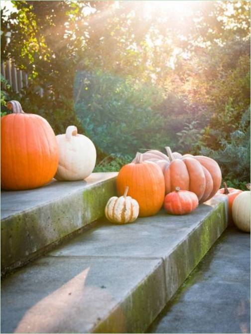 Décoration de terrasse avec des citrouilles