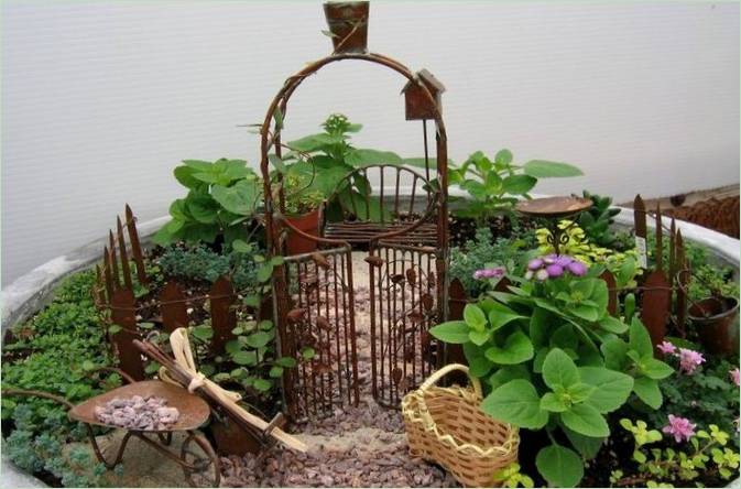 Un mini jardin arboretum