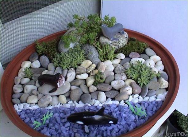 Un mini-jardin dans un pot de fleurs