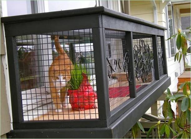 Mini terrain de jeu pour chats