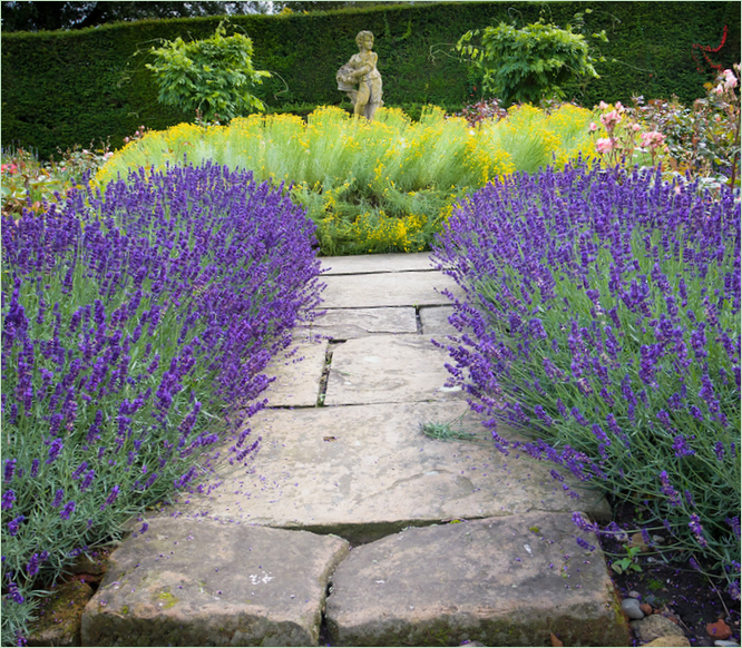 Jardins d'Arley Hall en Angleterre