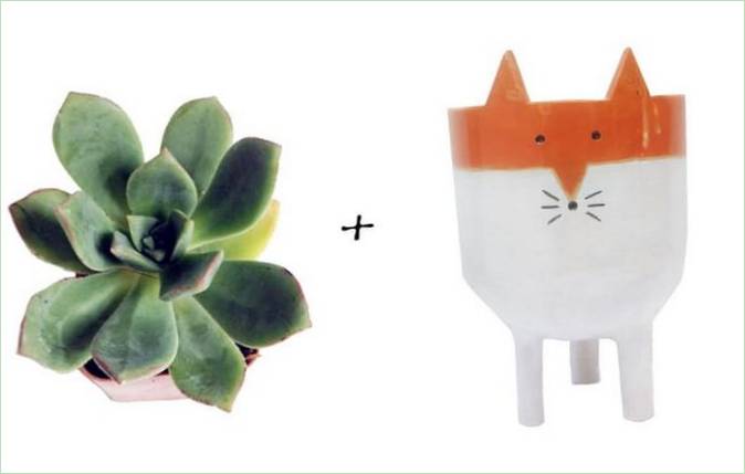 Idées de jardin : Succulentes + pot Fox en céramique de Minky Moo Ceramics