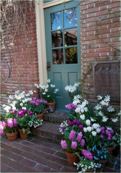 Que faire dans le jardin au printemps ? Les premières fleurs