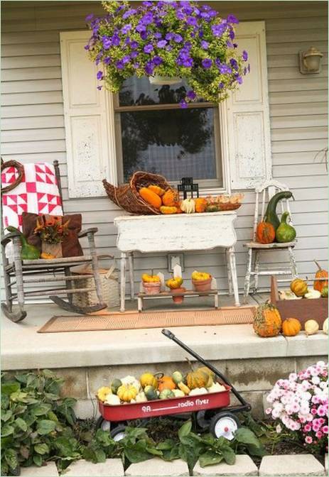 Plantes fraîches et citrouilles comme décoration de patio