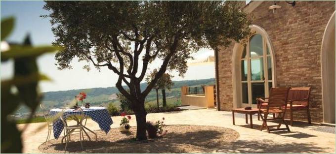 Cour avec table circulaire sous un arbre