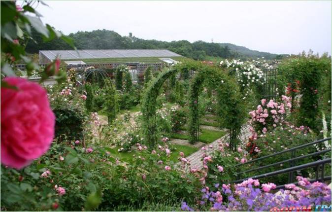 Jardin du parc commémoratif du festival des fleurs au Japon