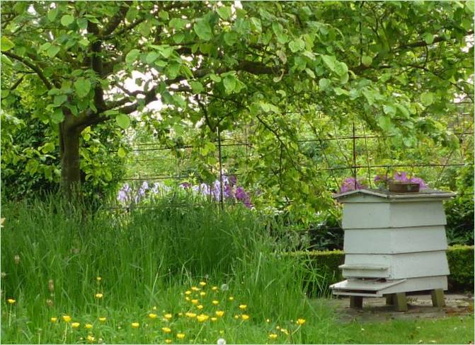 Une idée originale pour un jardin. Ruche