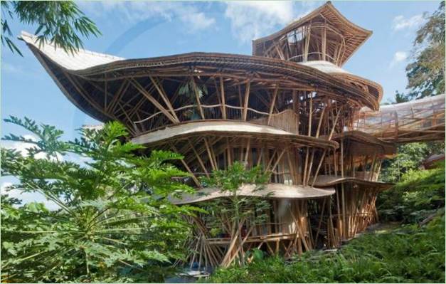Architecture verte : une maison écologique en bambou