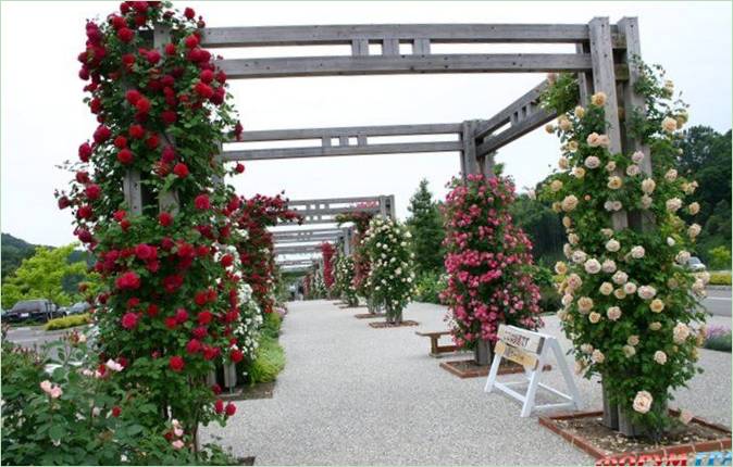 Parc commémoratif du festival des fleurs au Japon