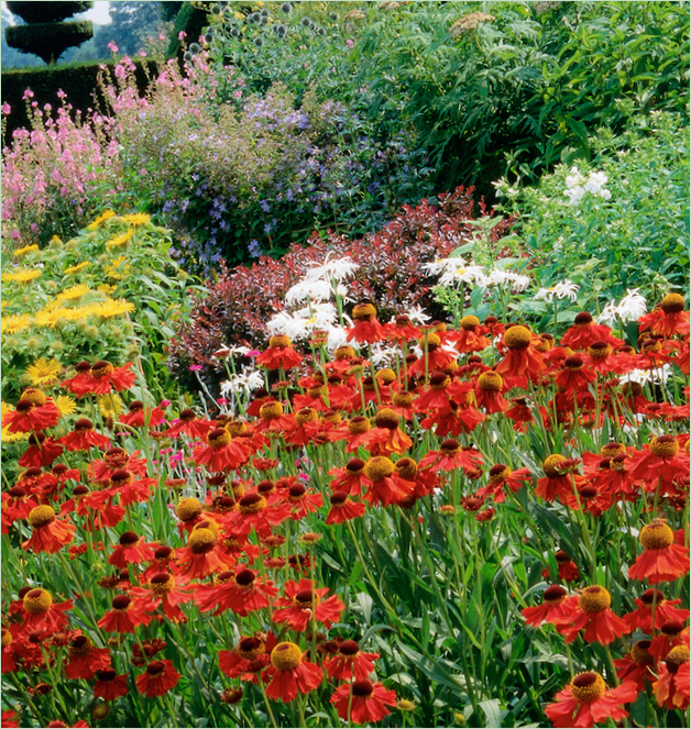 Jardins d'Arley Hall en Angleterre